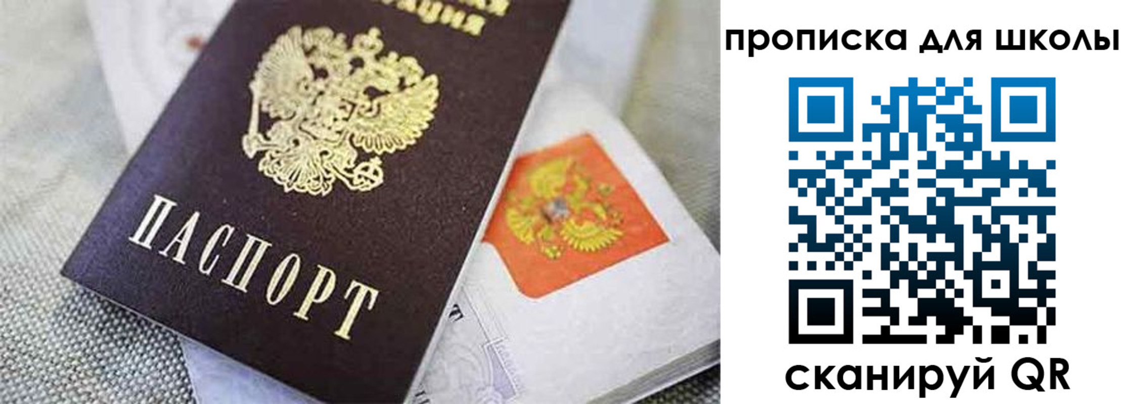 прописка штамп в Димитровграде