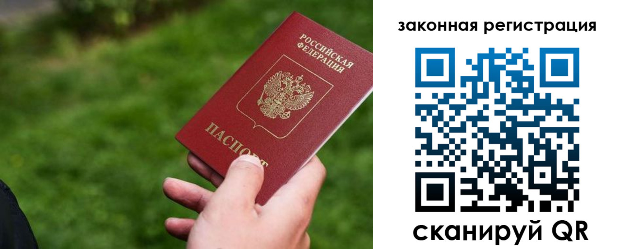 прописка законно в Димитровграде